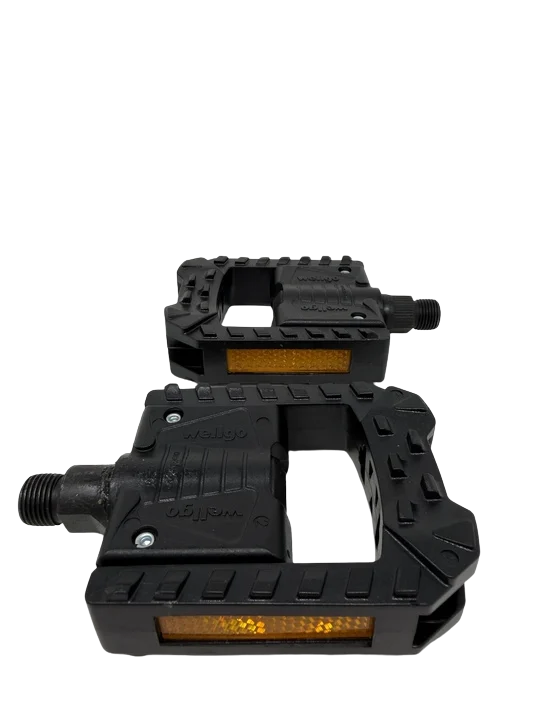 ZP19